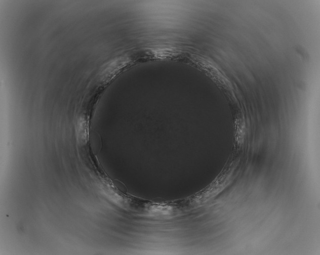 X0000110960471200907101331