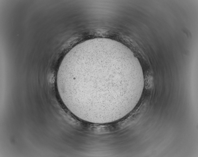 X0000110960472200907101331