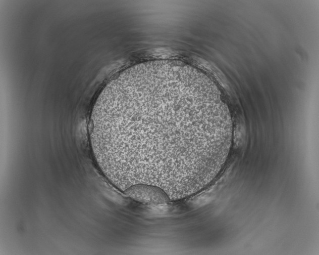 X0000110960473200907101331