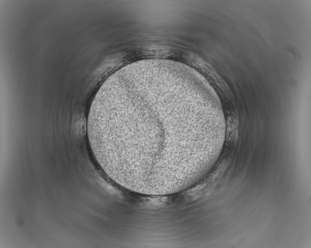 X0000110960474200907101331