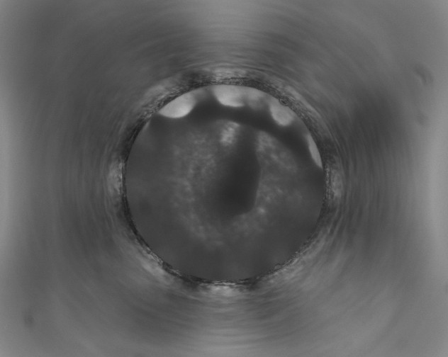 X0000110960475200907101331