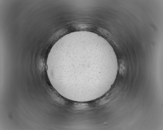 X0000110960476200907101331