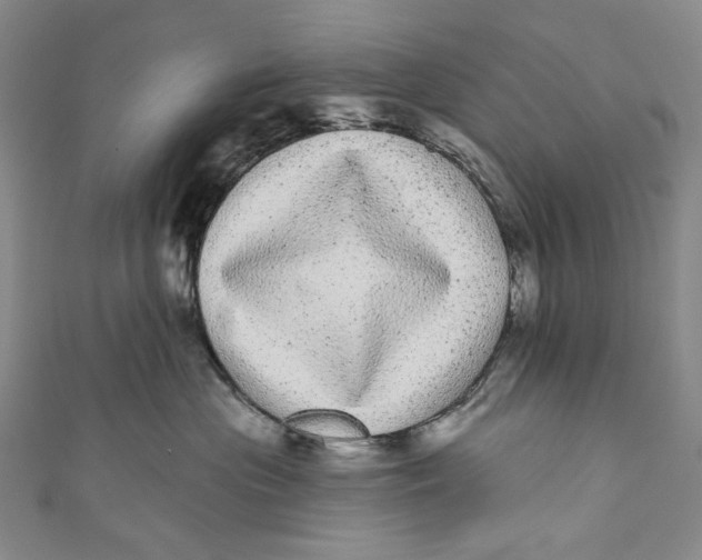 X0000110960477200907101331