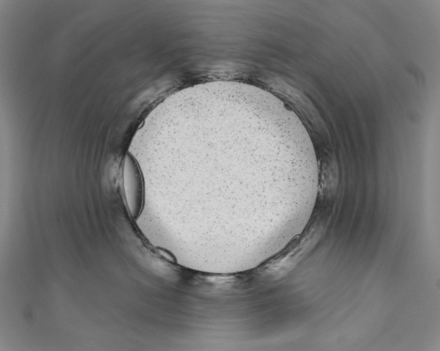 X0000110960478200907101331