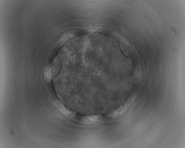 X0000110960479200907101331