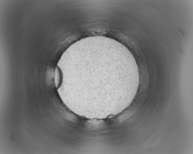 X0000110960480200907101331