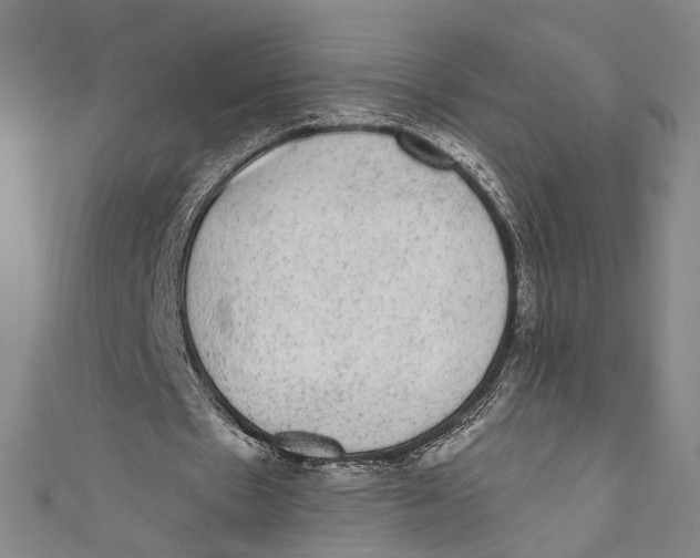 X0000110960481200907101331