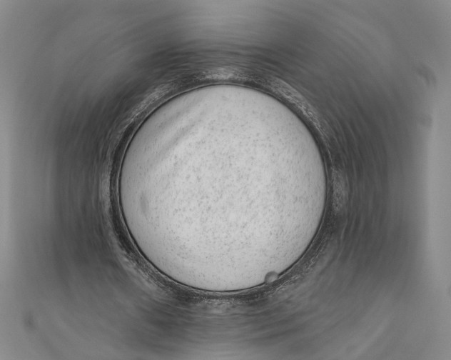 X0000110960482200907101331