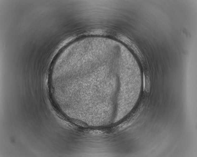 X0000110960483200907101331