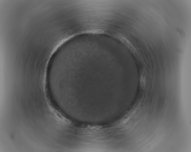 X0000110960484200907101331