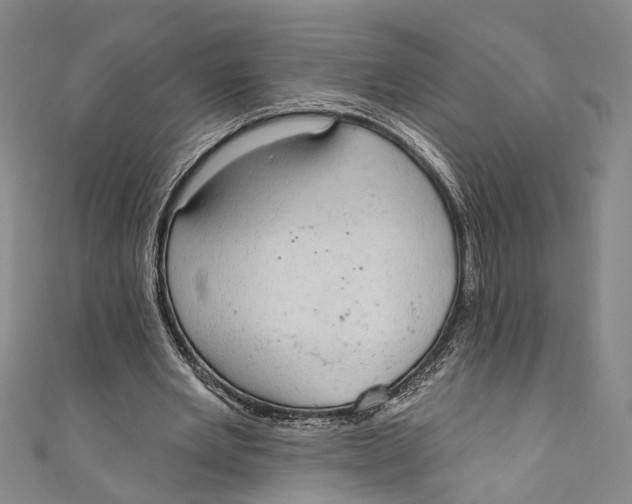 X0000110960485200907101331