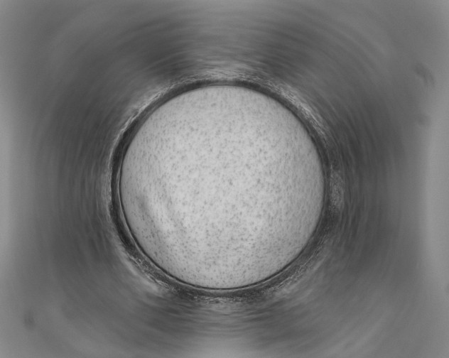 X0000110960486200907101330