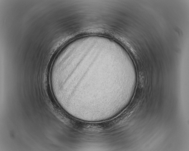 X0000110960487200907101330