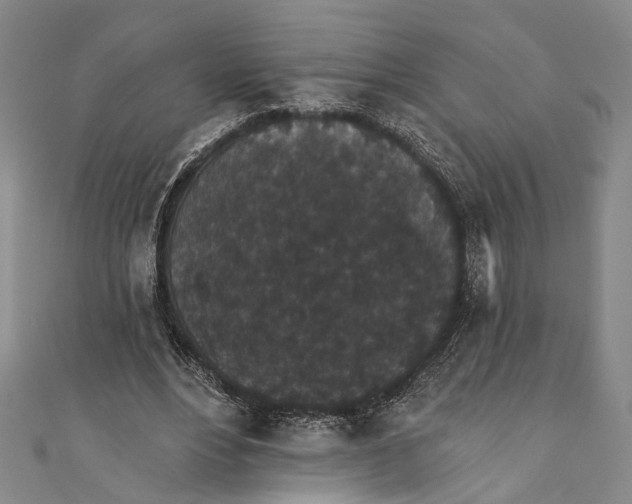 X0000110960488200907101330