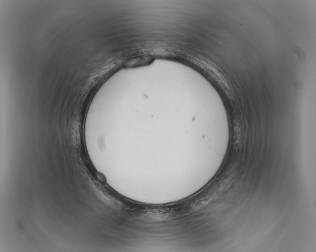 X0000110960489200907101330