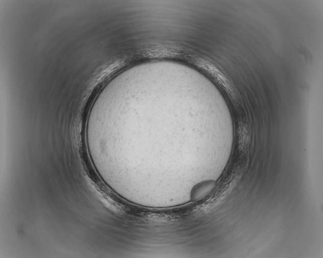 X0000110960490200907101330