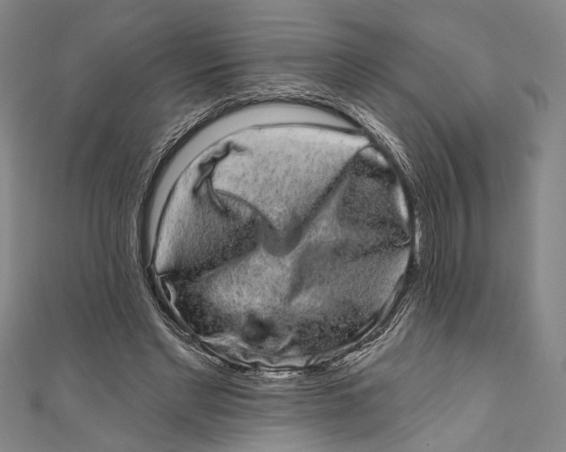 X0000110960493200907101330