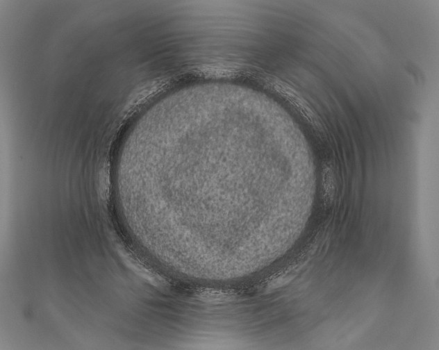 X0000110960494200907101330