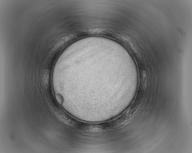 X0000110960495200907101330