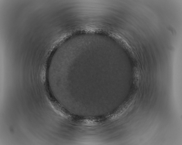 X0000110960496200907101330