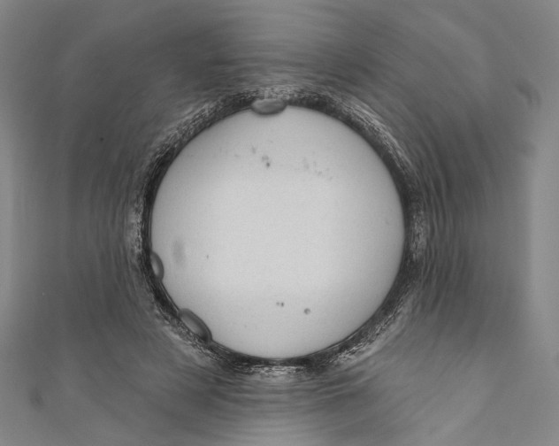 X0000110960497200907101330