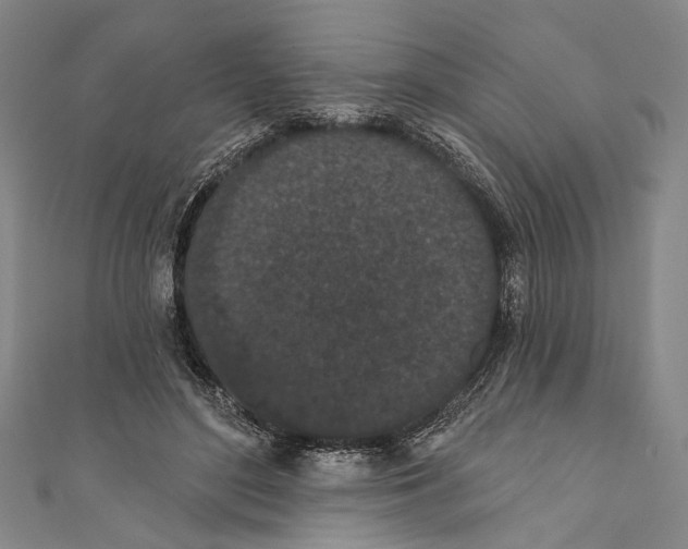 X0000110960500200907101330