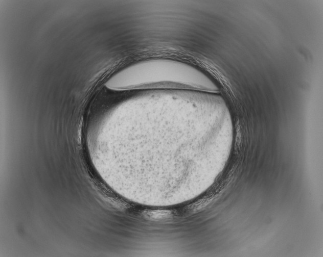 X0000110960501200907101330