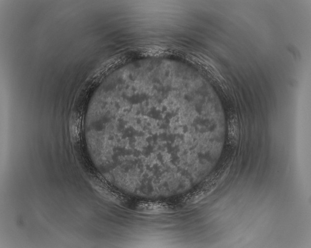 X0000110960503200907101330