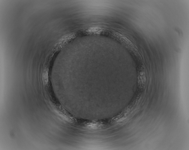 X0000110960504200907101330