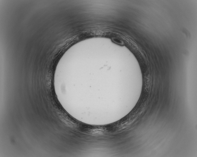 X0000110960505200907101330