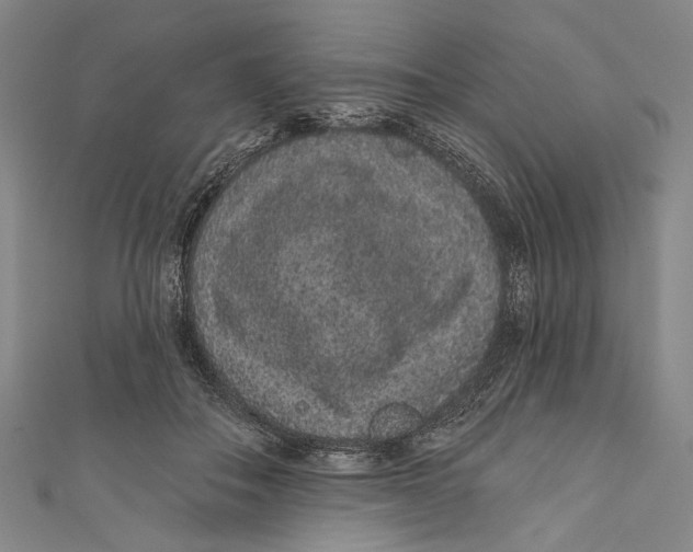 X0000110960506200907101330