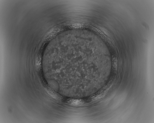 X0000110960507200907101330