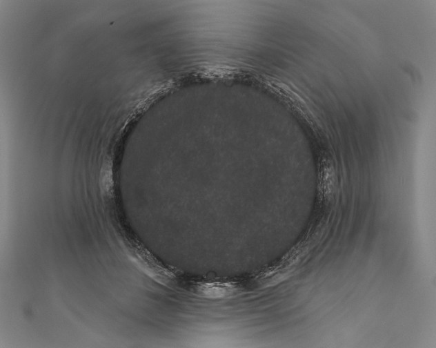 X0000110960508200907101330