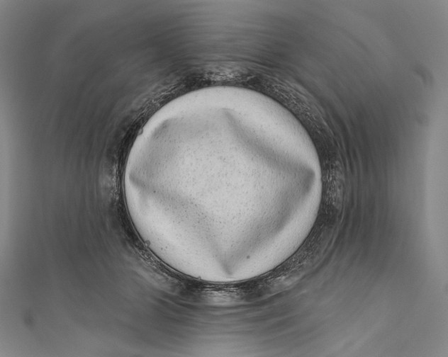 X0000110960510200907101330