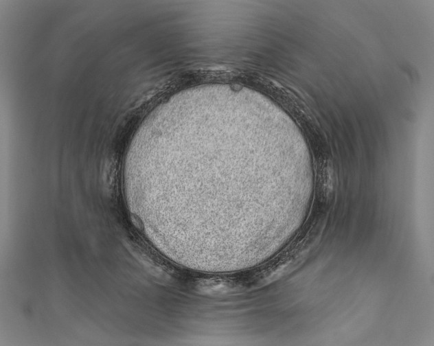 X0000110960511200907101330