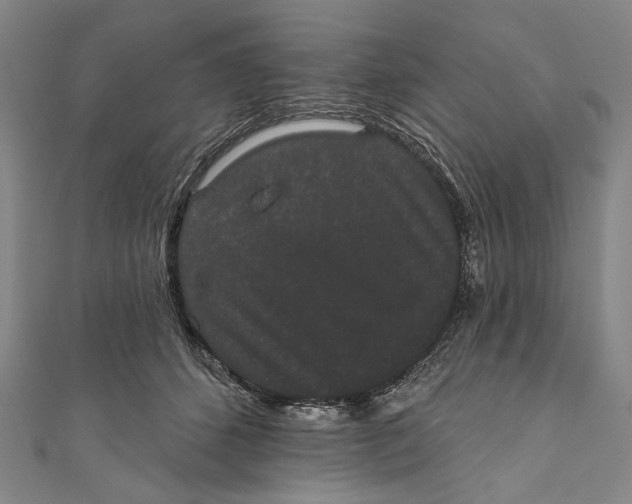 X0000110960512200907101330