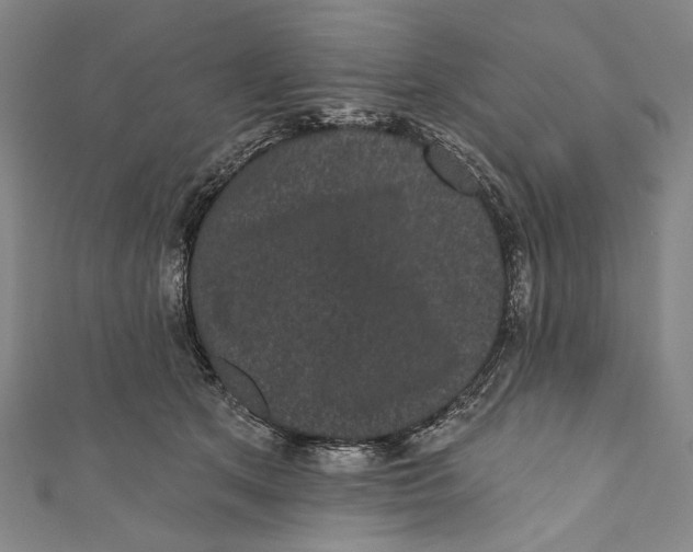 X0000110960513200907101330