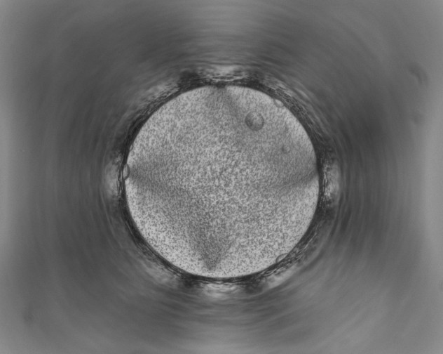 X0000110960515200907101330