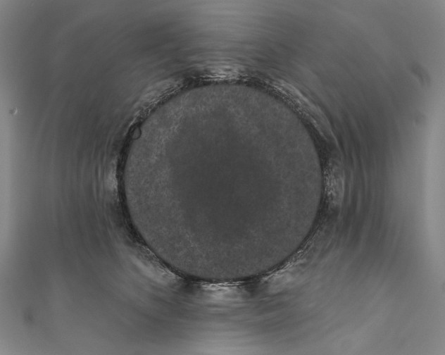 X0000110960516200907101330