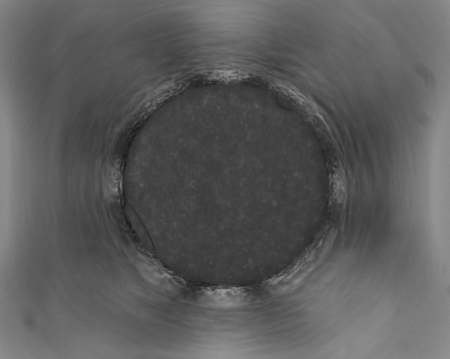 X0000110960517200907101330