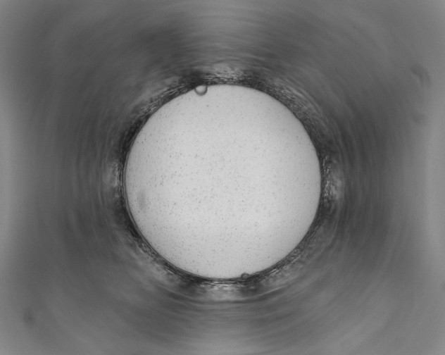 X0000110960518200907101330