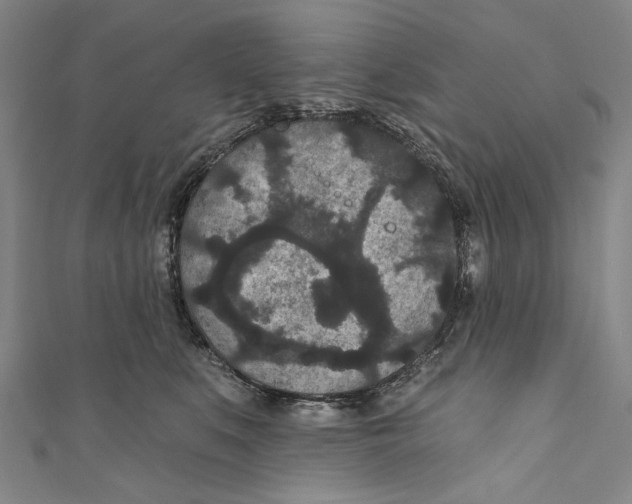 X0000110960519200907101330