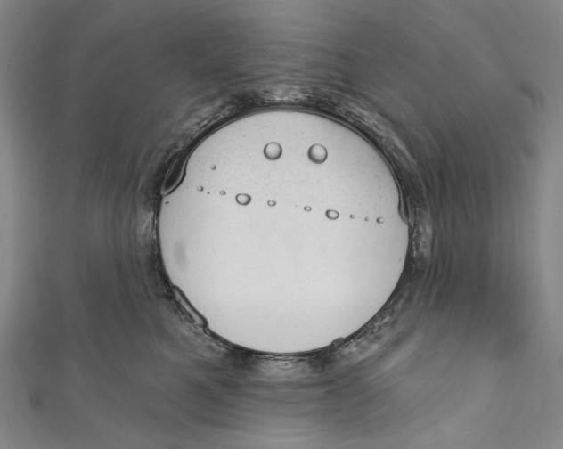 X0000110960521200907101330