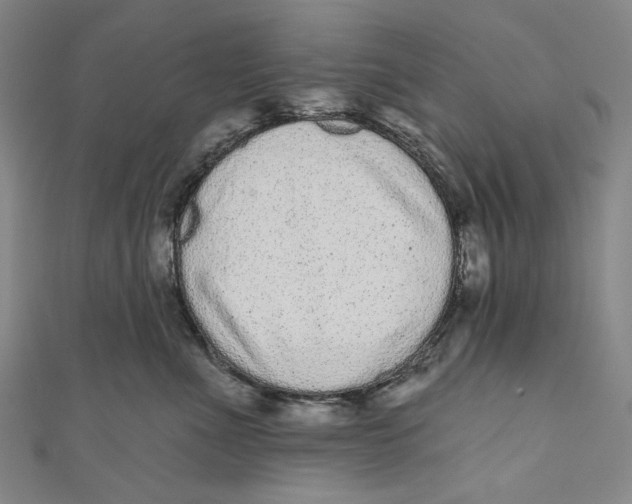 X0000110960523200907101330