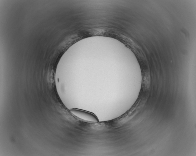 X0000110960525200907101330