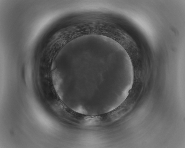 X0000110960526200907101330