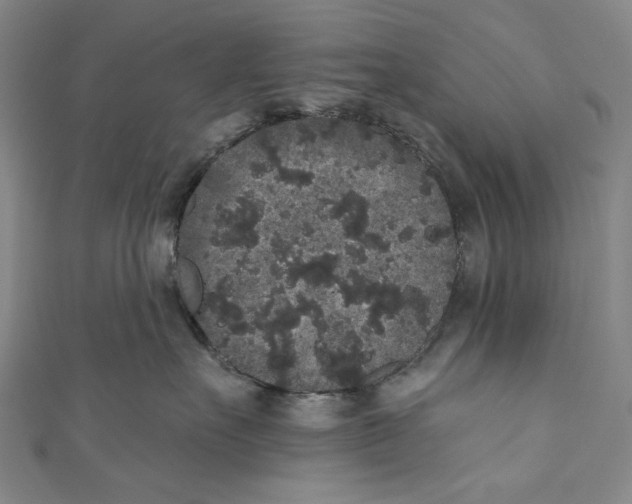 X0000110960527200907101330