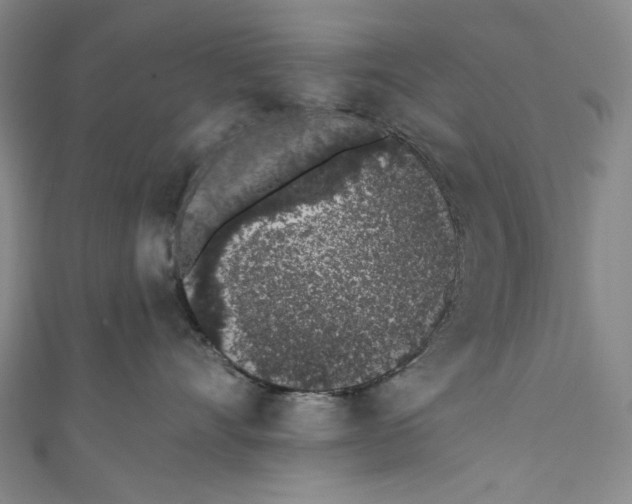 X0000110960528200907101330