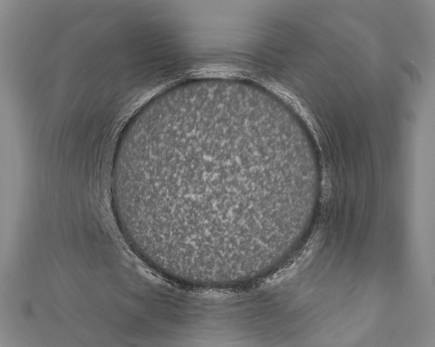 X0000110960529200907101329