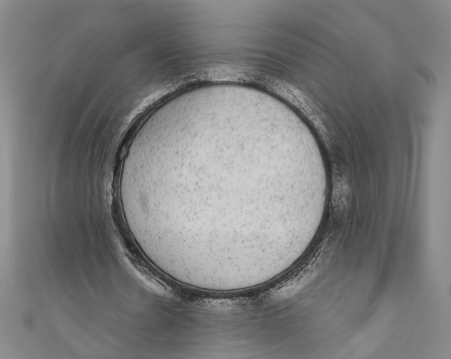 X0000110960530200907101329